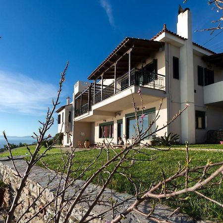 Aegean Panorama Apartments Akhladherí Екстериор снимка